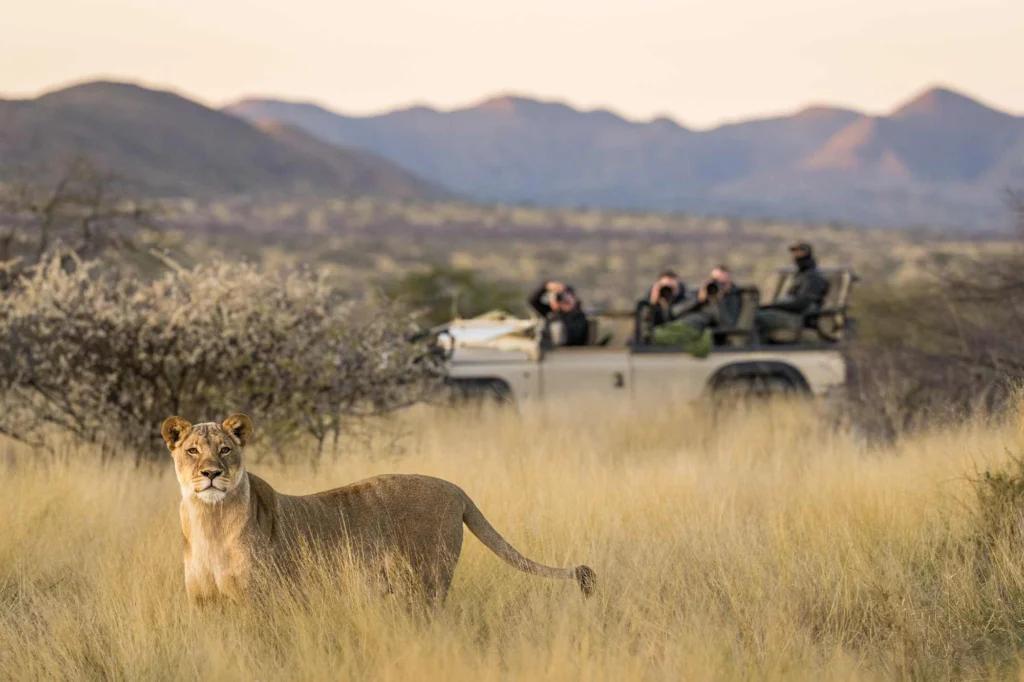 Tswalu Kalahari