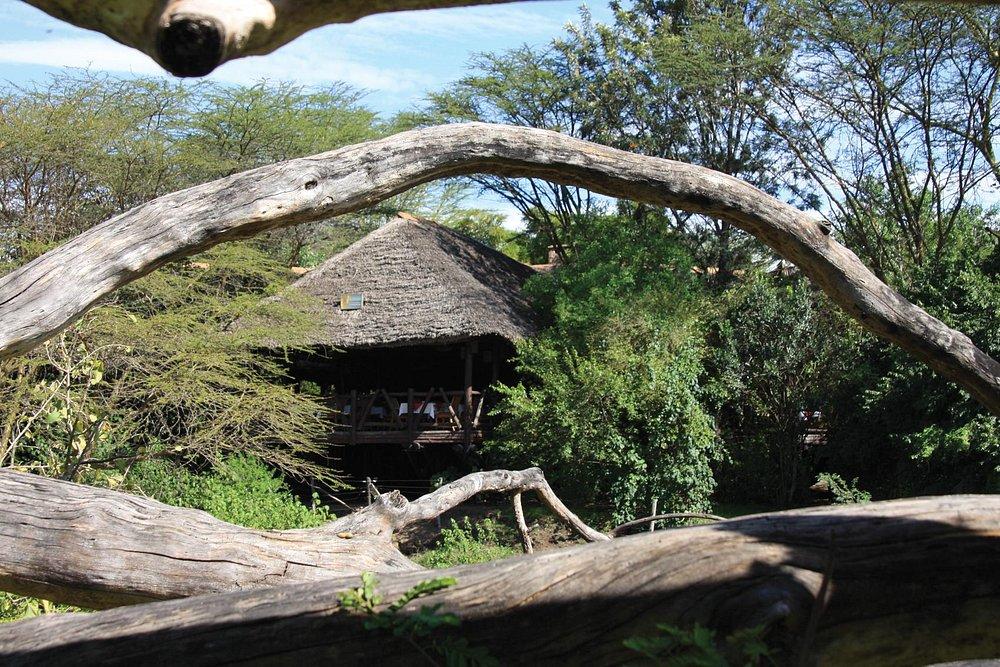 Mara Simba Lodge