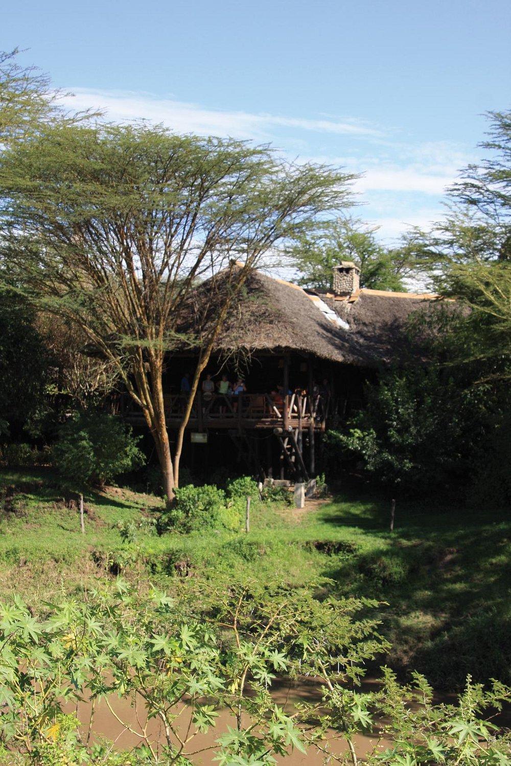 Mara Simba Lodge