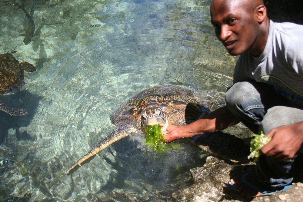 Essque Zalu Zanzibar