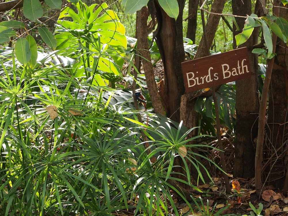 Kirurumu Manyara Lodge