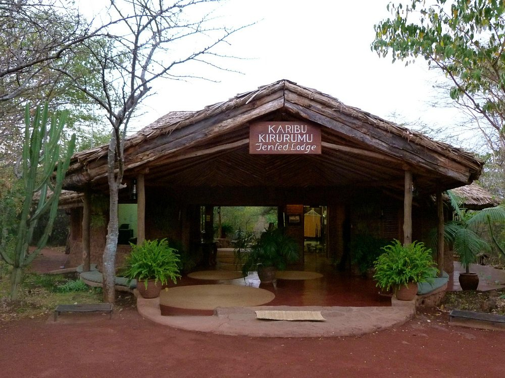 Kirurumu Manyara Lodge