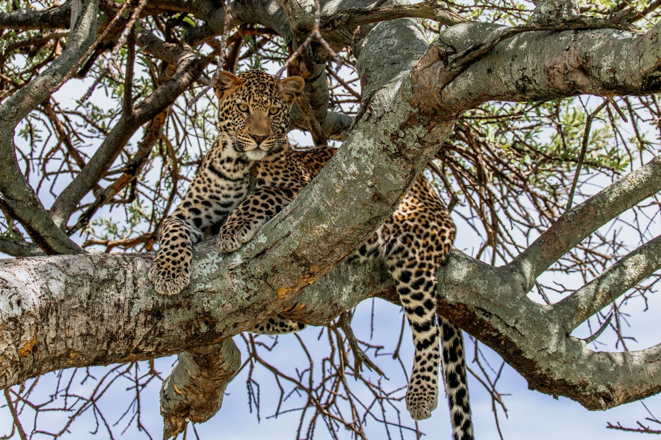 Mapito Tented Camp
