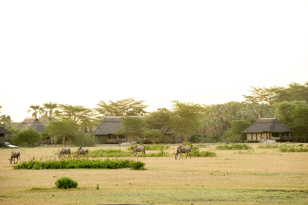 Maramboi Tented Camp