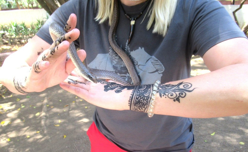 Meserani Snake Park