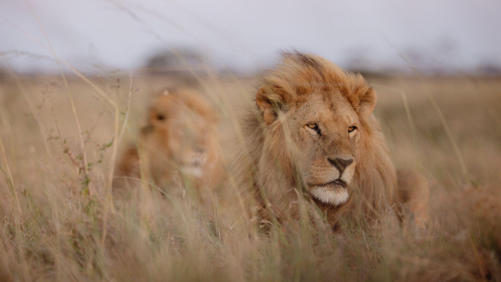 Namiri Plains