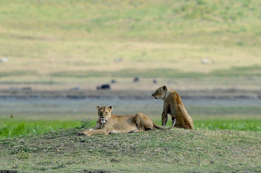 Ngorongoro Serena Safari Lodge