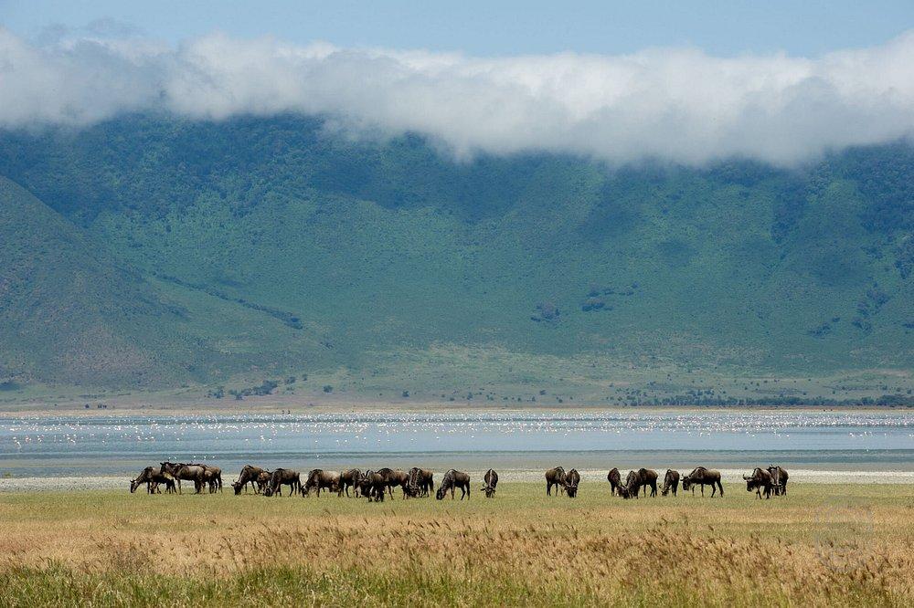 Ngorongoro Serena Safari Lodge
