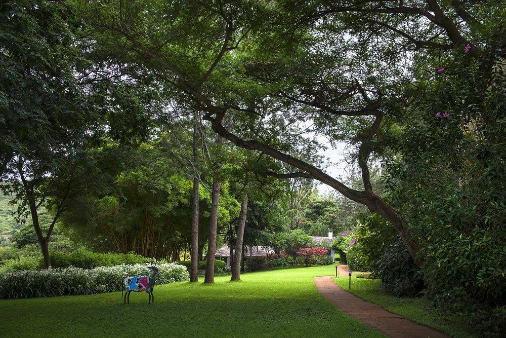 Plantation Lodge