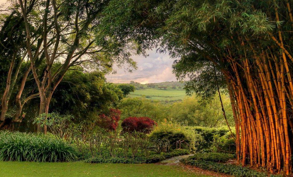 Plantation Lodge