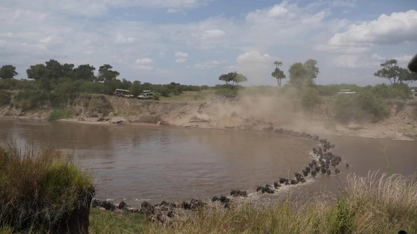 Singita Mara River Tented Camp