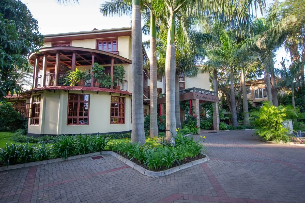African Tulip Hotel