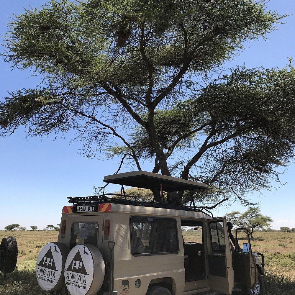 Ang'ata Migration Ndutu