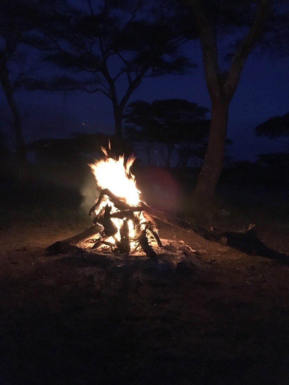 Ang'ata Migration Ndutu