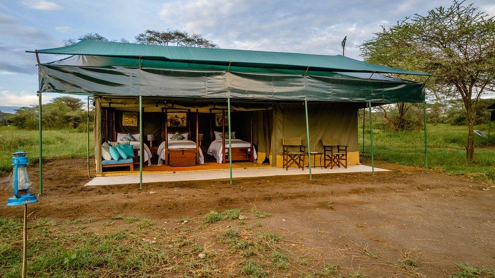 Ang'ata Migration Ndutu