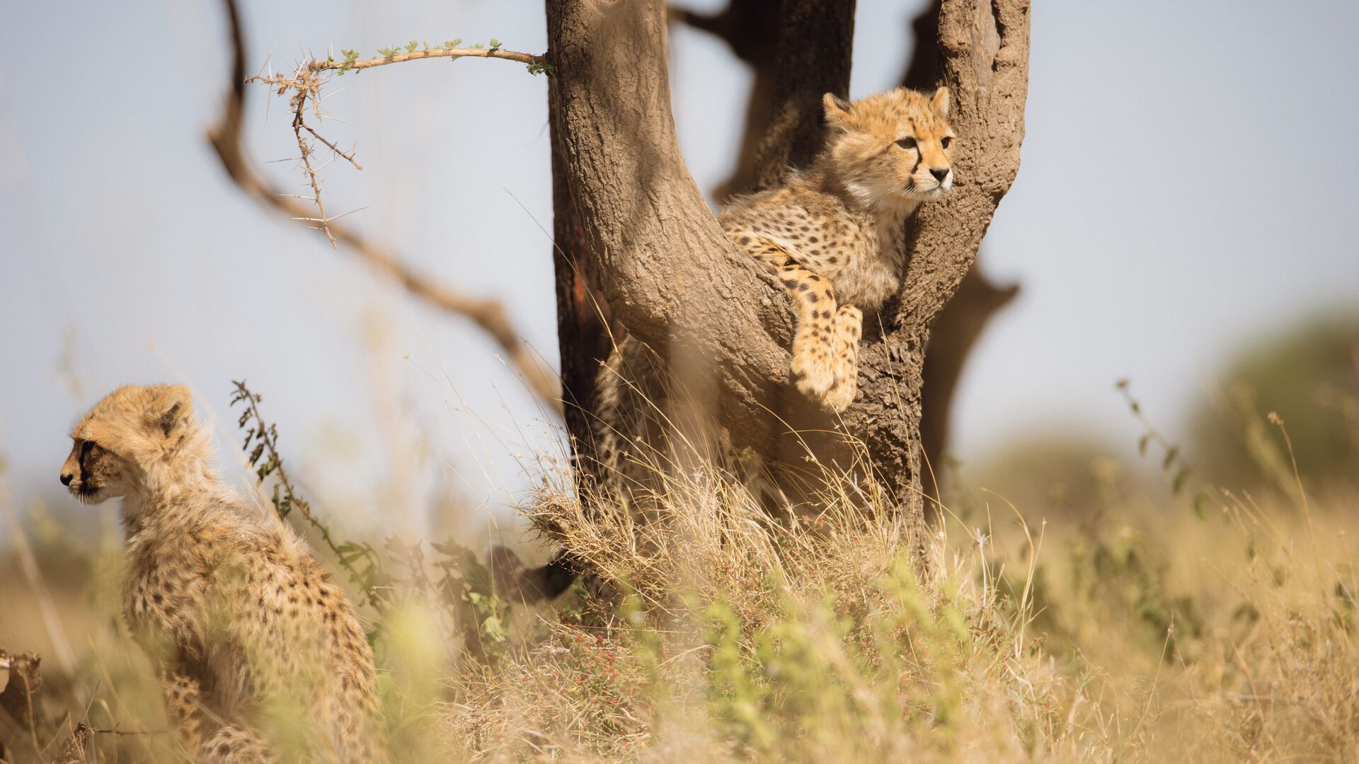 Namiri Plains