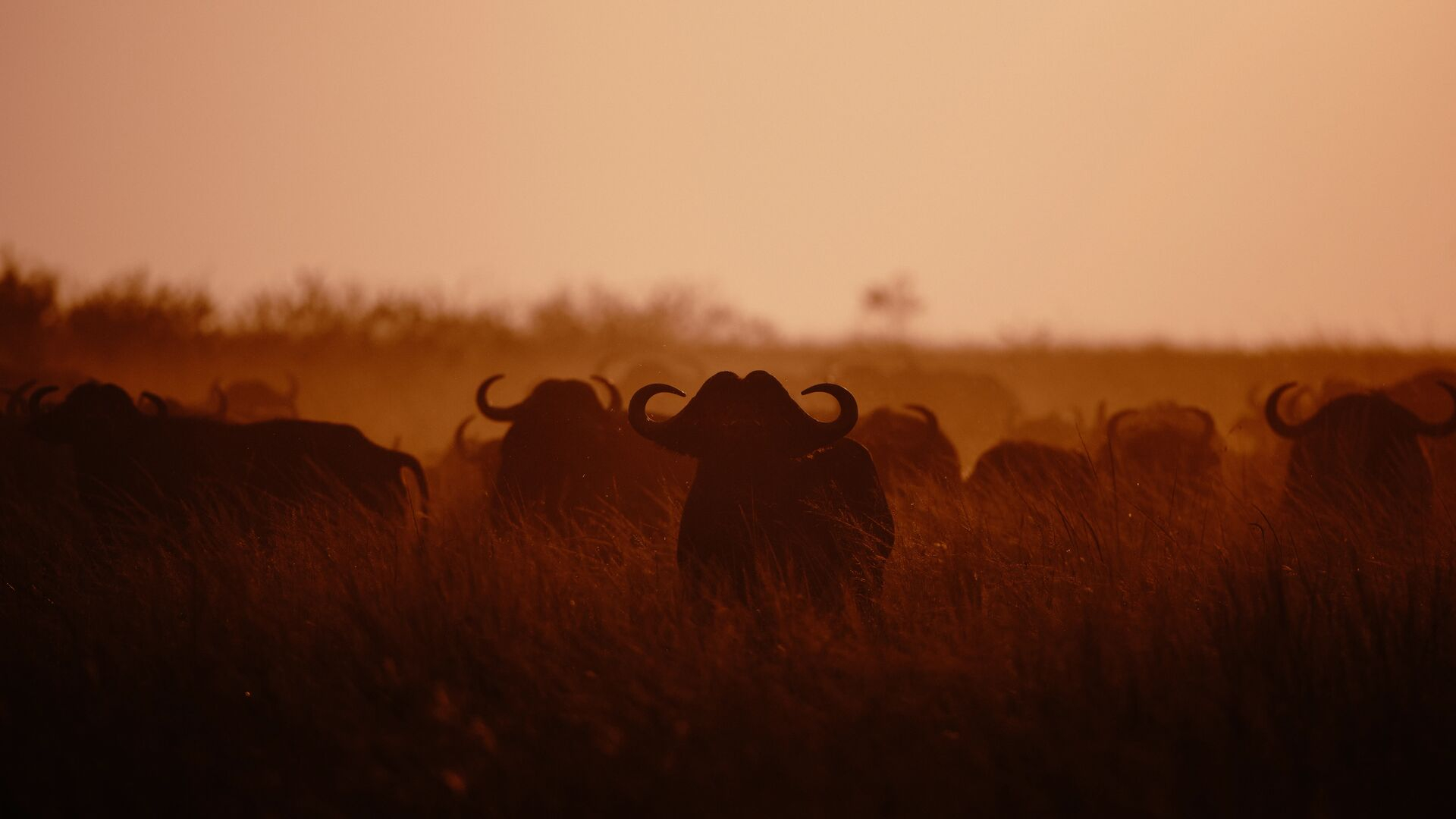 Namiri Plains