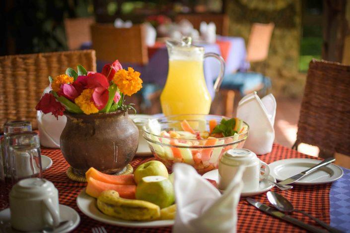 Bougainvillea Safari Lodge