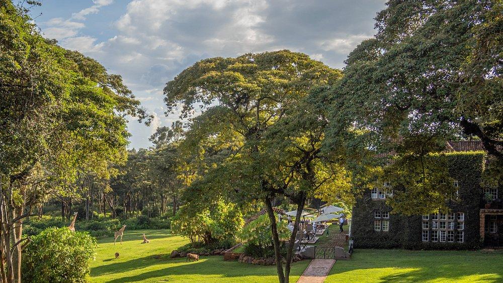 The Retreat at Giraffe Manor