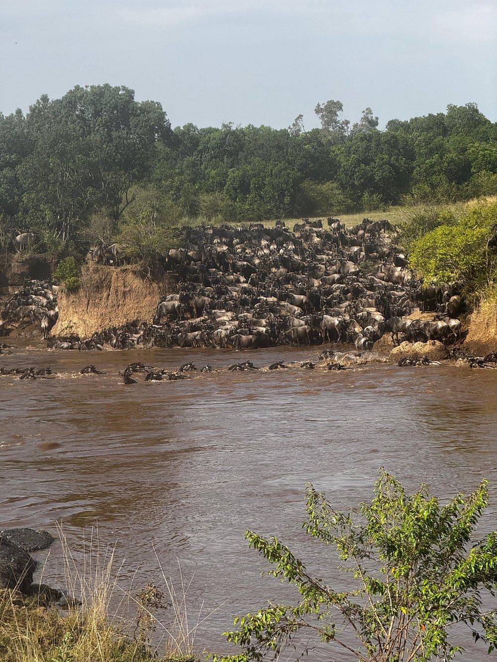 Soroi Mara Bush Camp