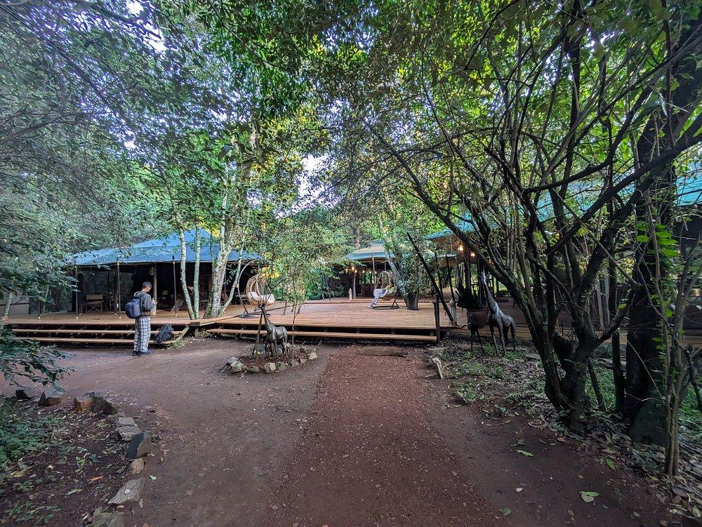 Soroi Mara Bush Camp