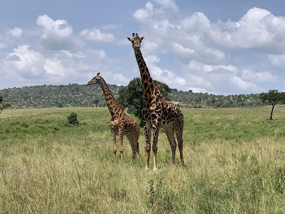 andBeyond Kichwa Tembo Masai Mara Tented Camp