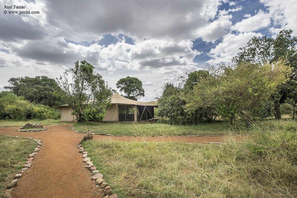 Porini Lion Camp