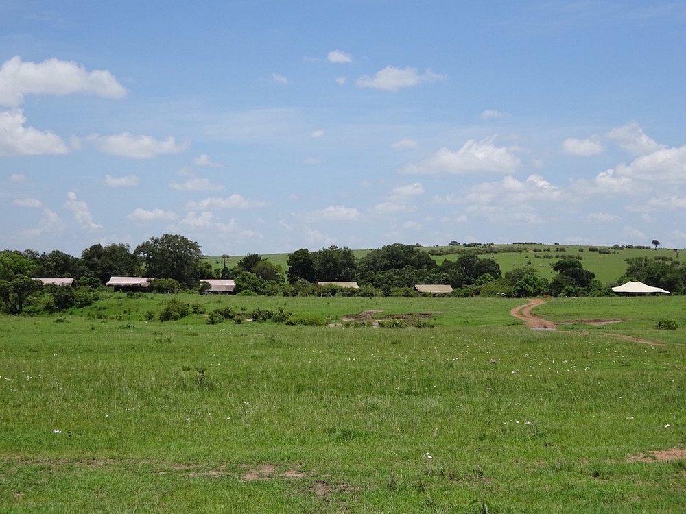 Porini Lion Camp