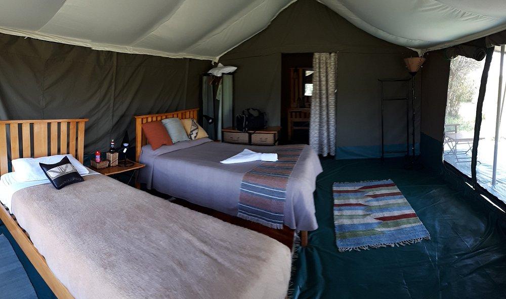 Porini Lion Camp