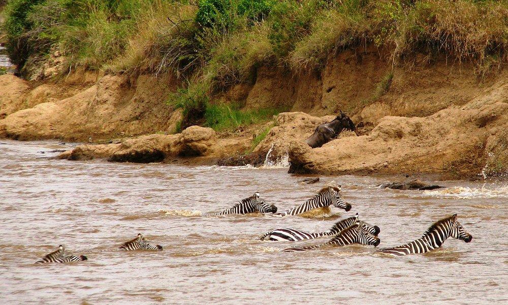 Kicheche Mara Camp