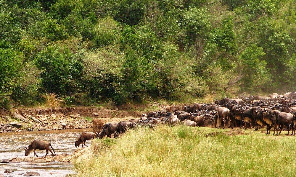 Kicheche Mara Camp