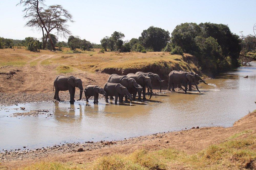 Kicheche Laikipia Camp