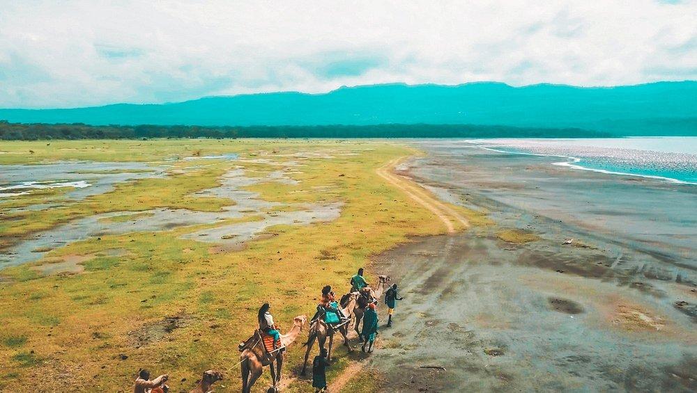 Mbweha Safari Camp