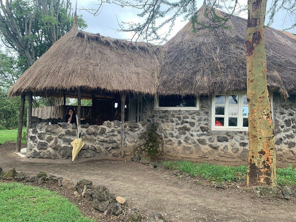 Mbweha Safari Camp