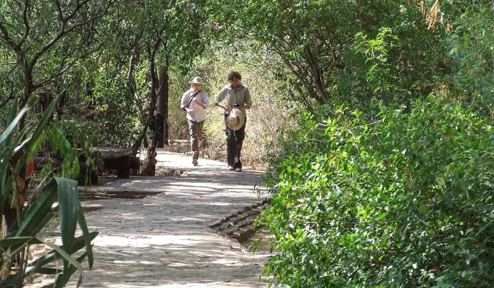 Samburu Serena Safari Lodge