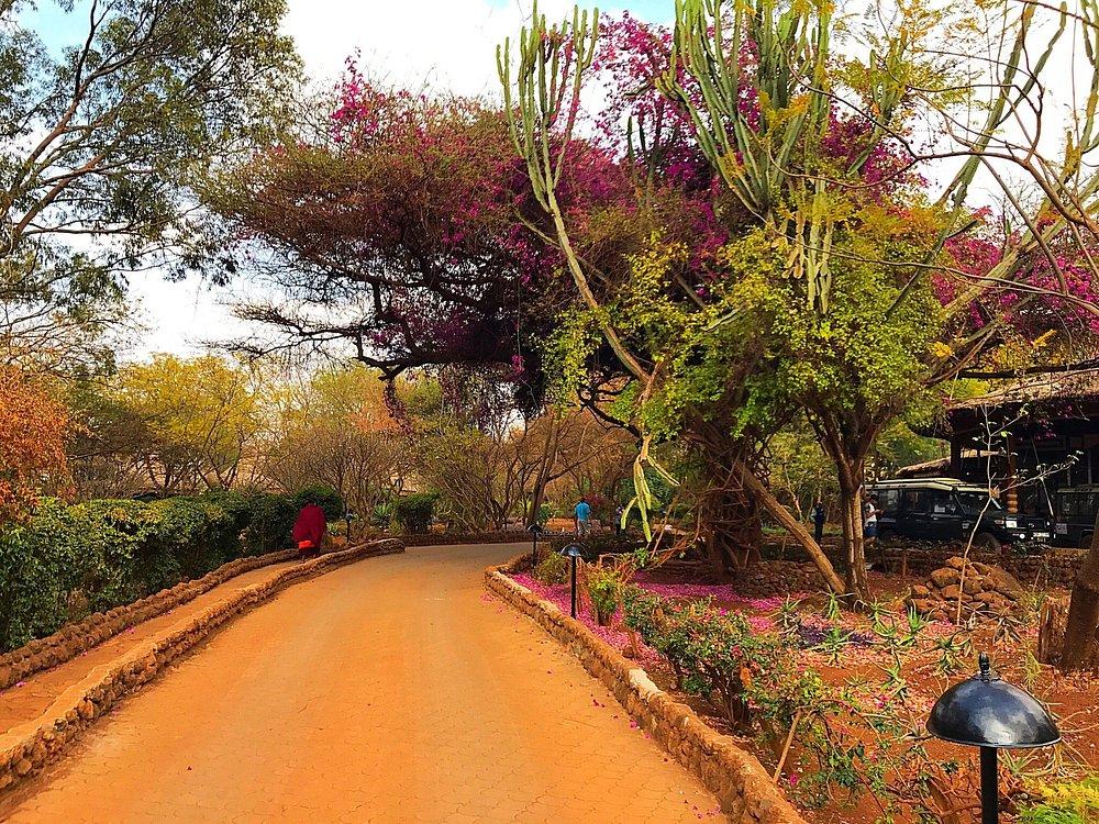 Amboseli Sopa Lodge