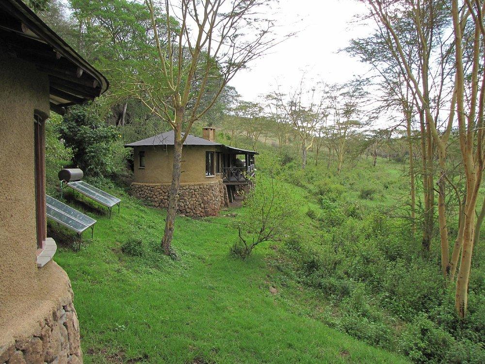The Emakoko
