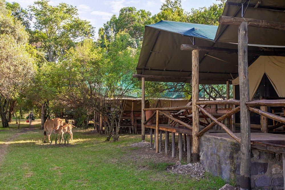 Karen Blixen Camp