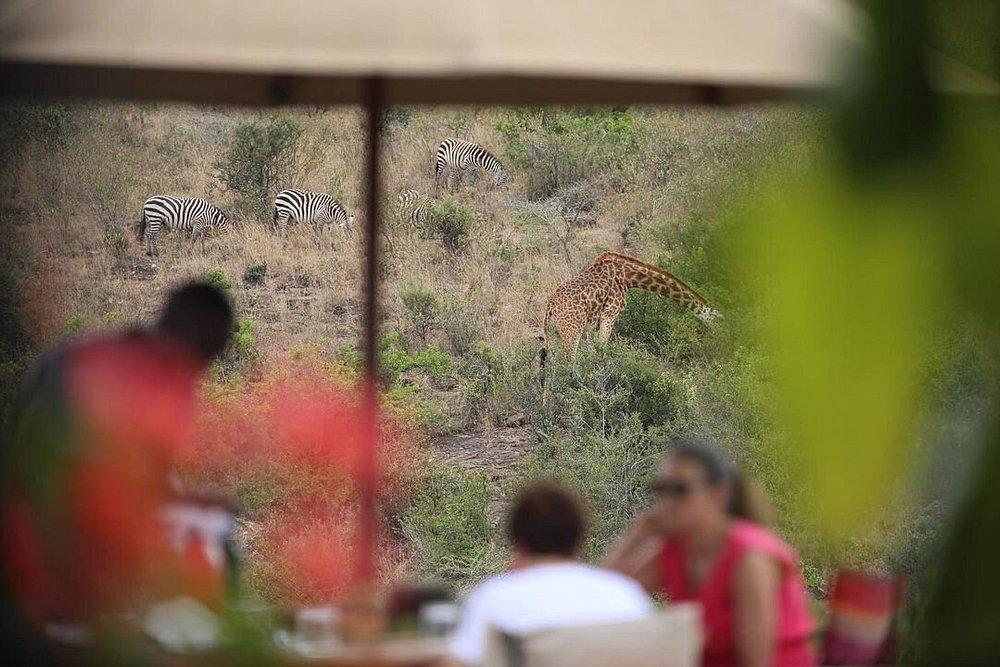 Ololo Safari Lodge & Farm