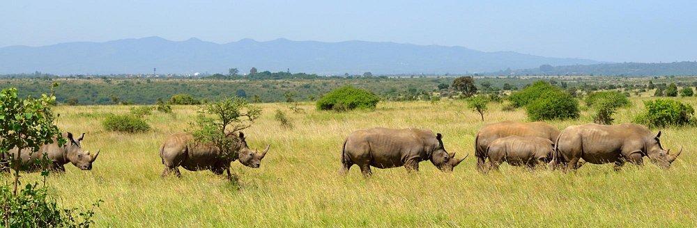 Ololo Safari Lodge & Farm