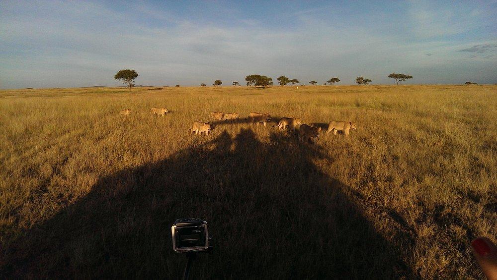 Singita Faru Faru Lodge