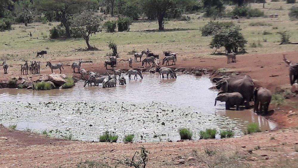 Singita Faru Faru Lodge