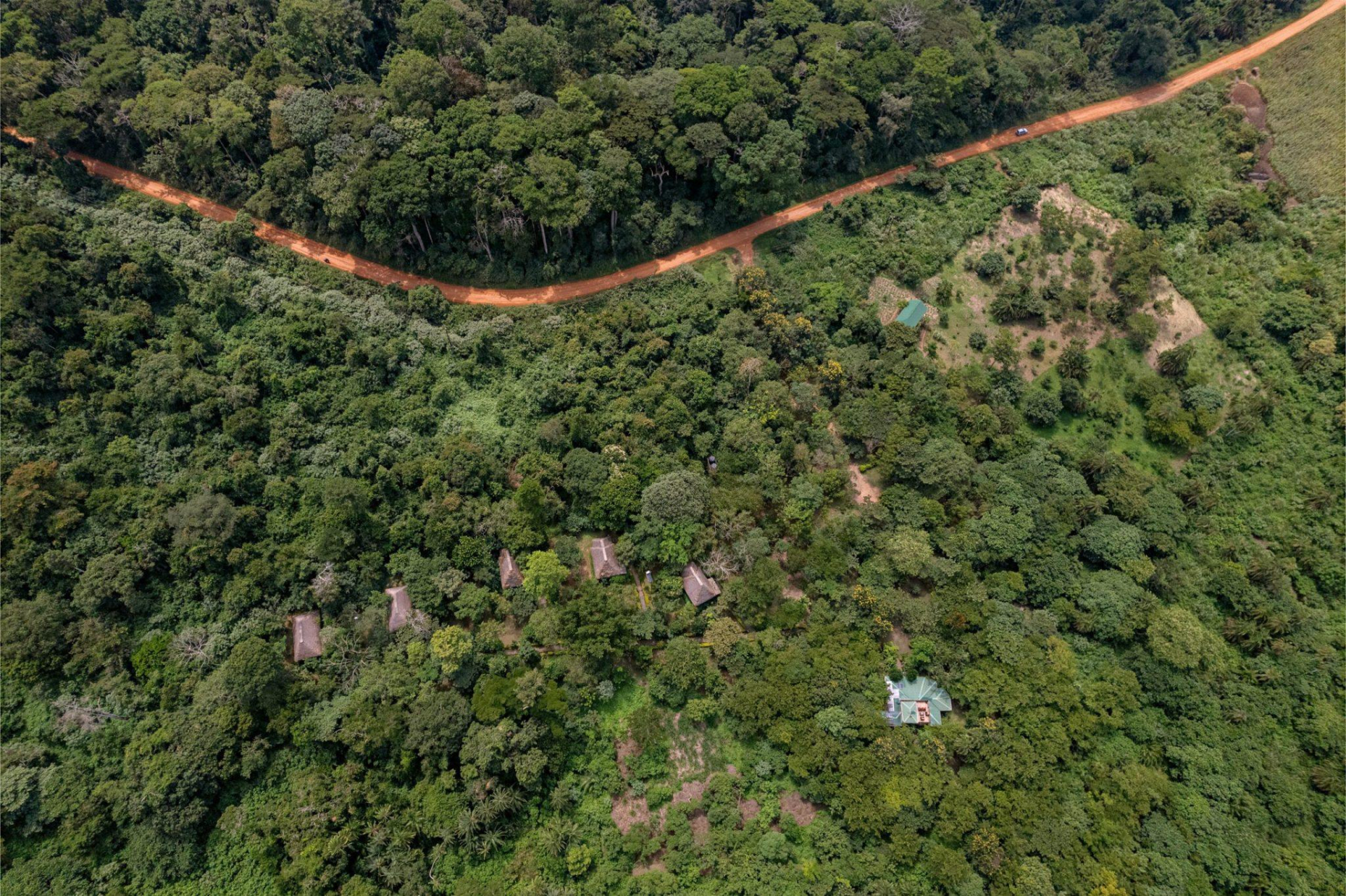 Ishasha Jungle Lodge