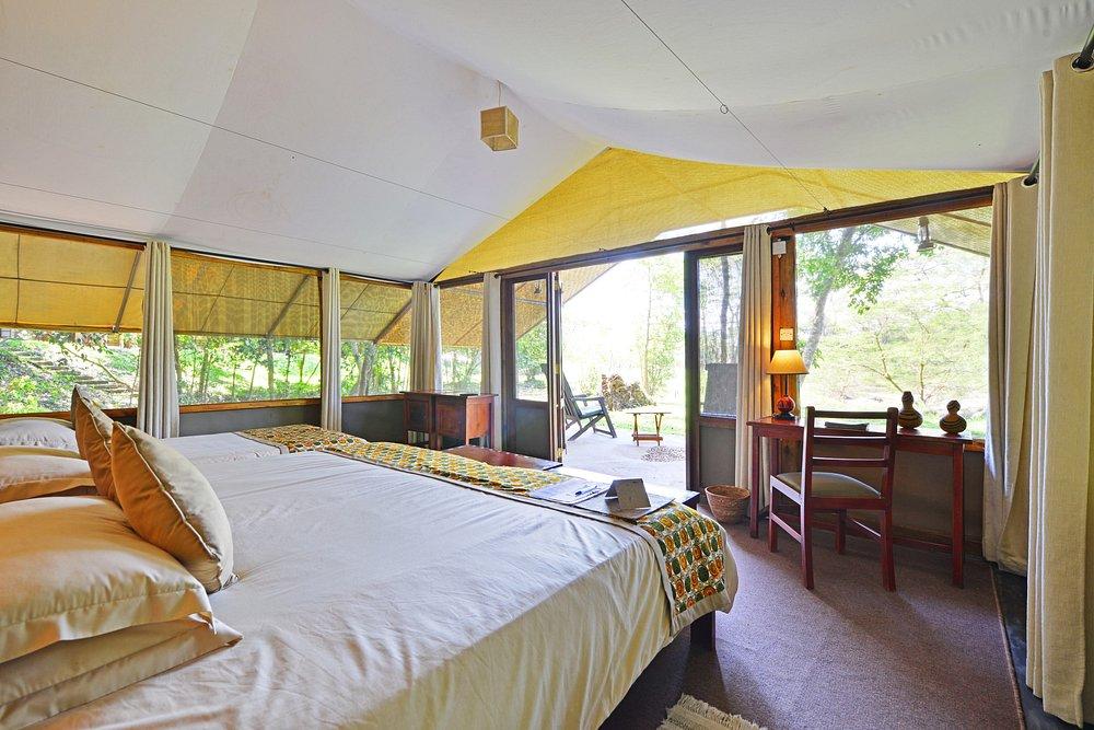 Ishasha Wilderness Camp
