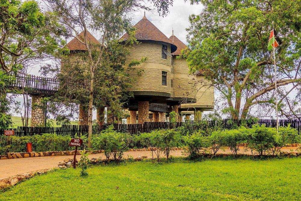 Salt Lick Safari Lodge