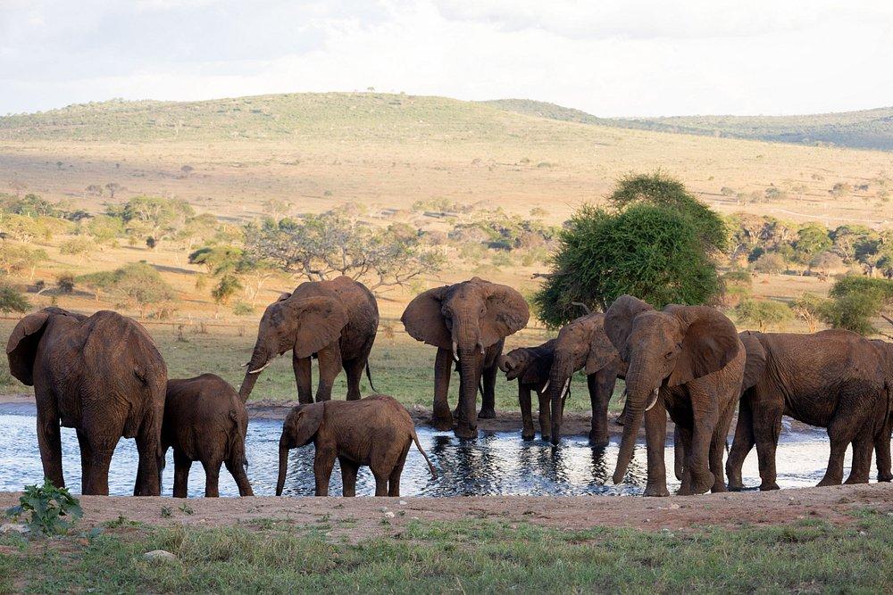 Taita Hills Safari Resort & Spa
