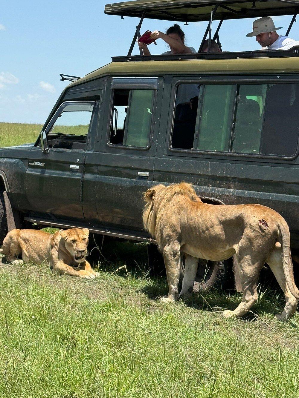 Zebra River Camp