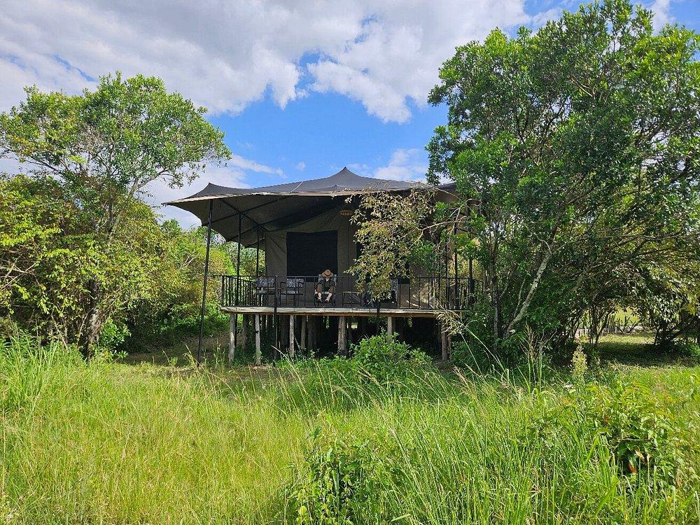 Zebra Valley Camp