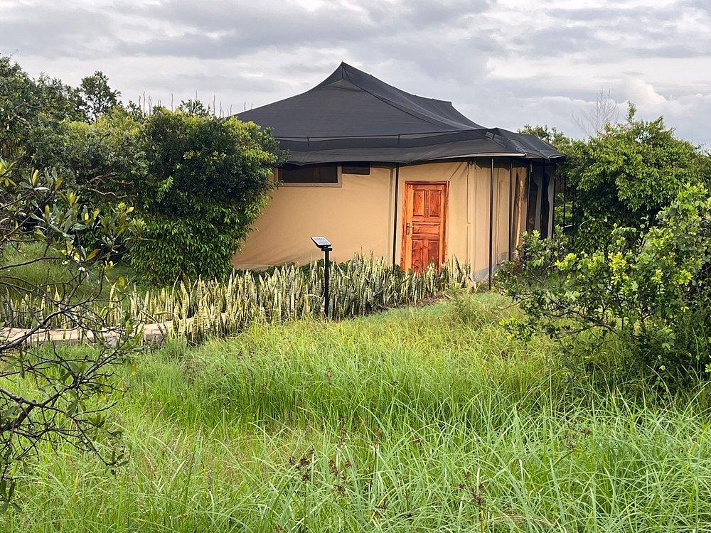 Zebra Valley Camp