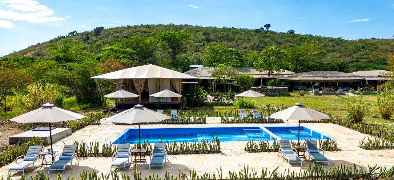 Zebra Valley Camp